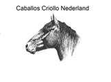 CCN - Caballos Criollo Nederland